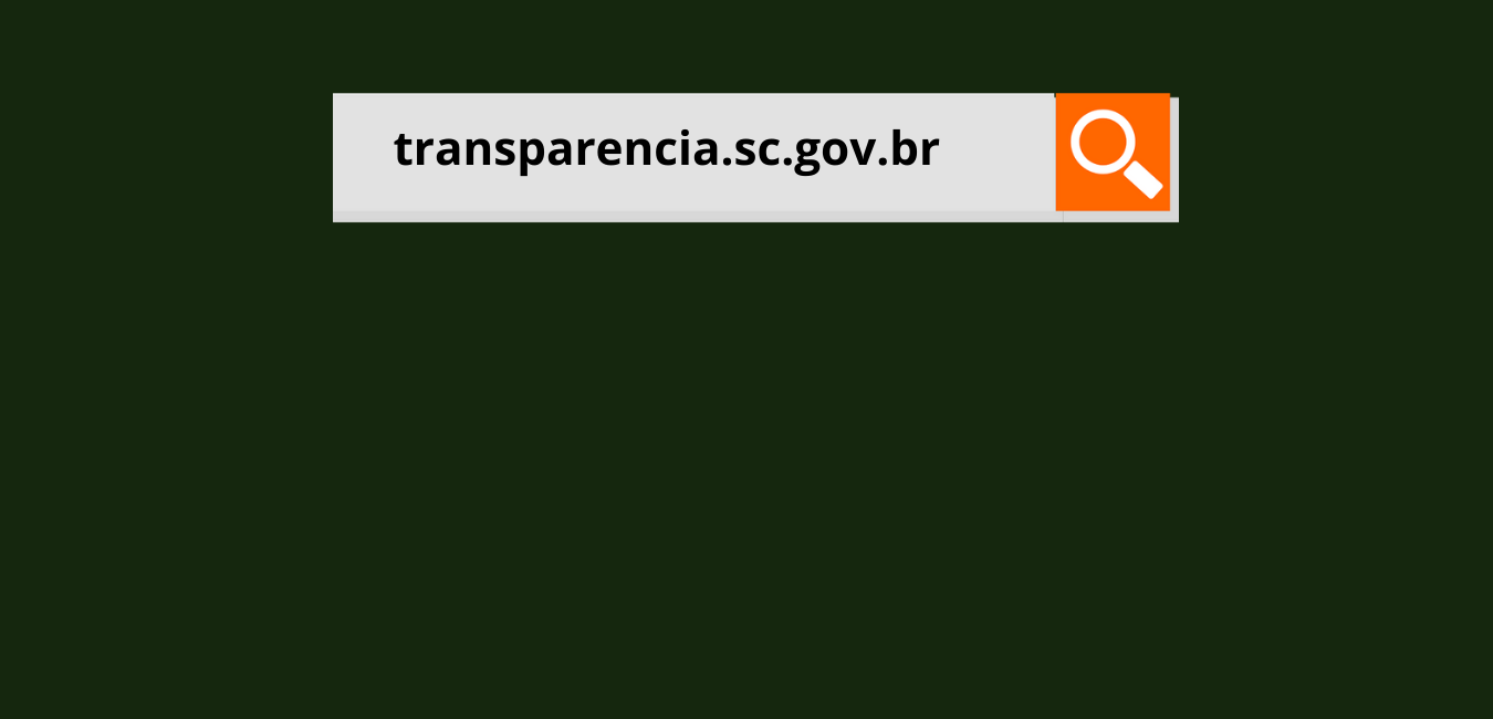 Balanço 2020: Portal da Transparência tem 400 mil acessos no ano